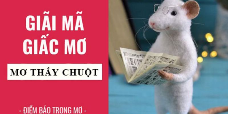 Mơ thấy chuột, vận may hay rủi?