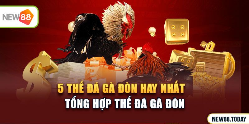 5 thế đá gà đòn hay nhất tại đấu trường đá gà